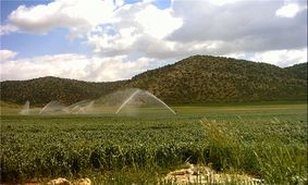 ۵۸۰ هکتار از اراضی گچساران به سیستم‌های نوین آبیاری مجهز می‌شوند