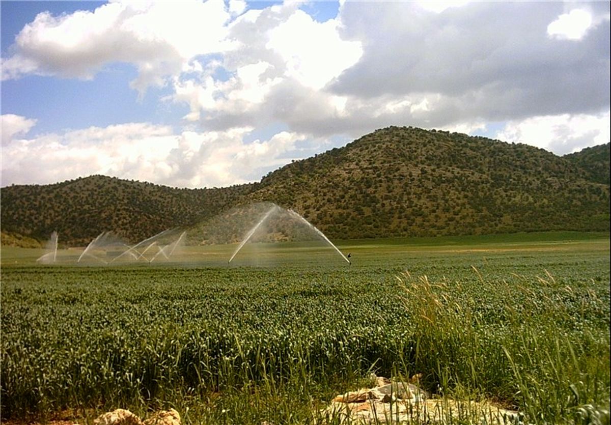۵۸۰ هکتار از اراضی گچساران به سیستم‌های نوین آبیاری مجهز می‌شوند