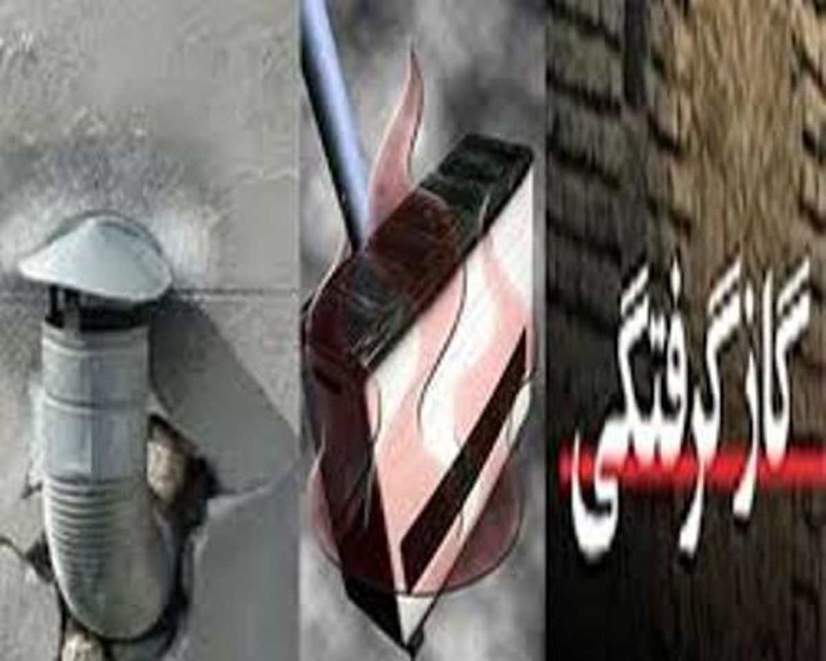 قاتل خاموش، جان پیرزن "شبستری " را گرفت
