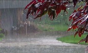 پیش بینی بارش باران در خراسان جنوبی/وزش تند باد همراه با گردوغبار