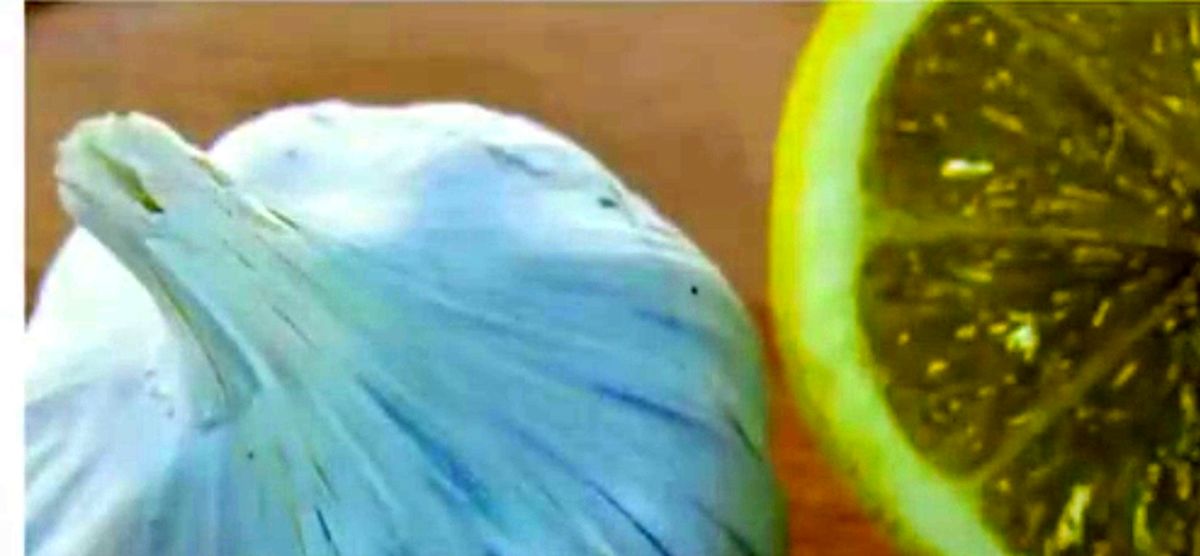 ترکیبی برای رفع گرفتگی رگ ها