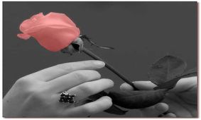 روز مادرو روز زن چه بخریم؟