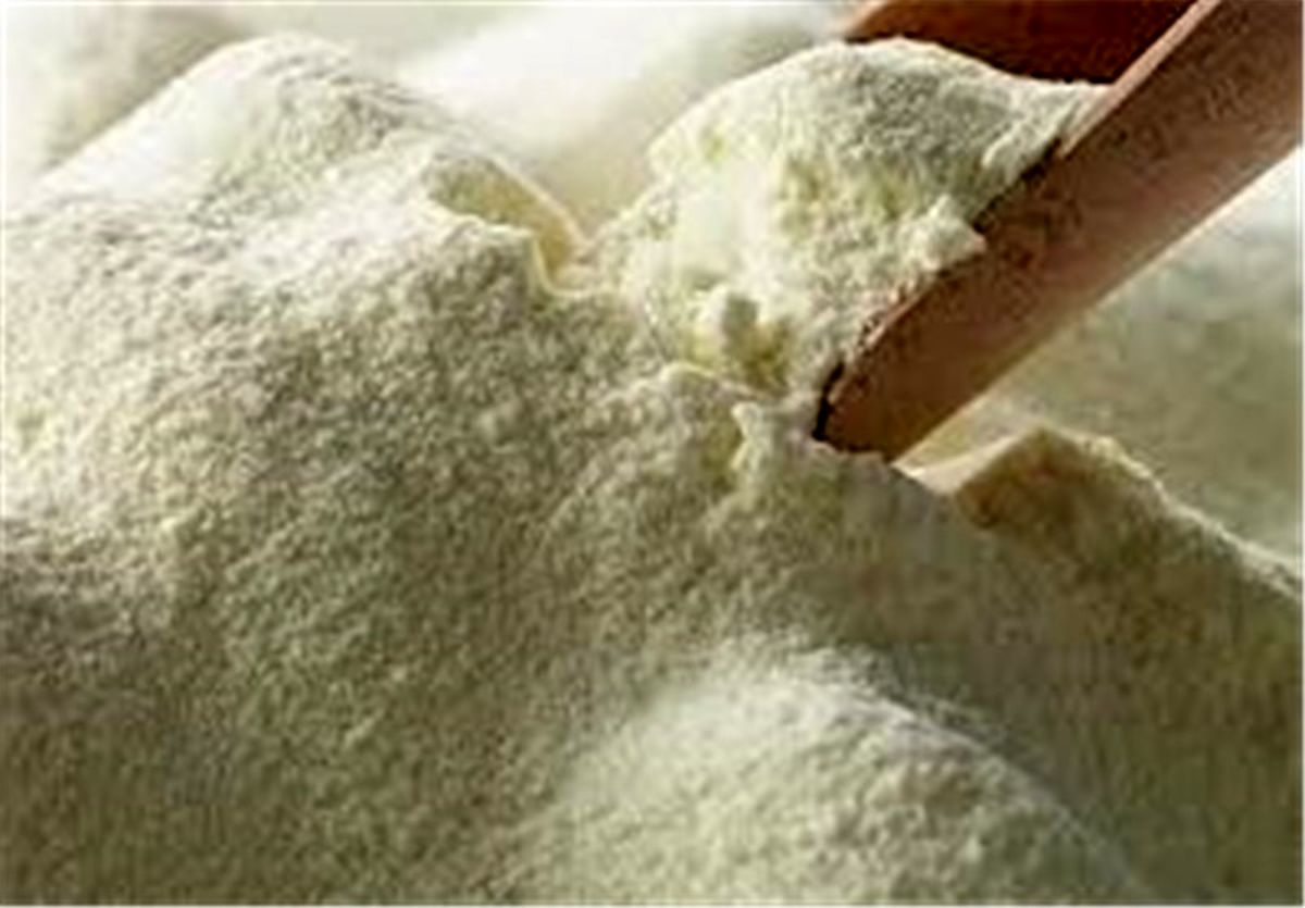 ترخیص ۳۰۰ تن شیرخشک وارداتی از گمرکات تهران در روزهای اخیر