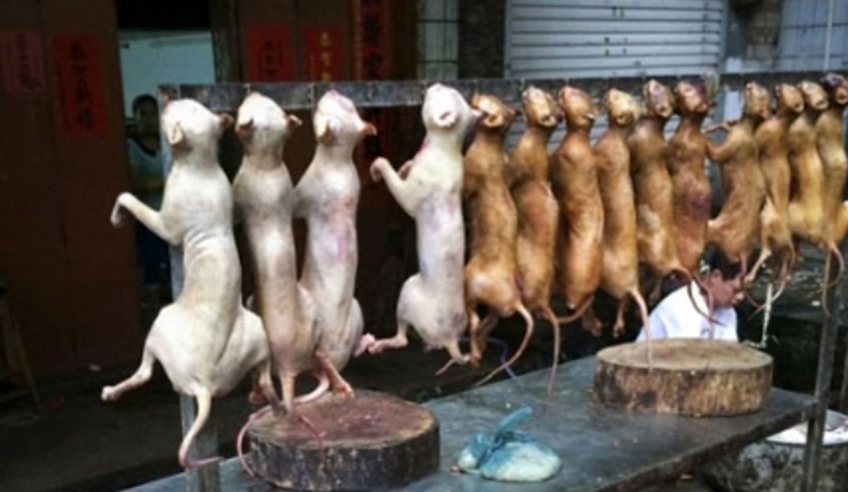 سوسیس‌و‌کالباس با گوشت خوک!!!