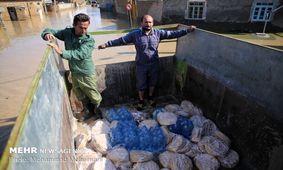 قهرمانان ورزشی مازندران برای کمک به سیل‌زدگان وارد گود شدند
