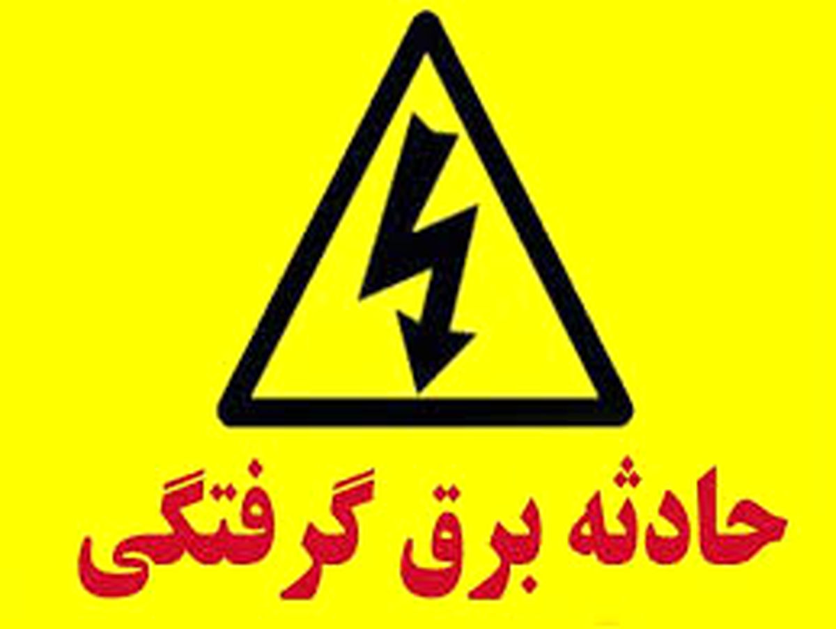 ترانس برق جان سارق سابقه دار را در كميجان گرفت