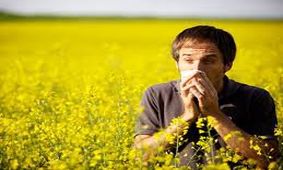 چگونه از آلرژی‌های فصلی در امان باشیم؟