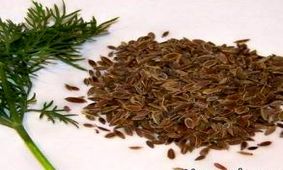 تخم شوید چه خواص و چه مضراتی برای سلامت دارد؟