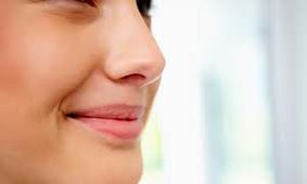 فرم بینی شما درباره شخصیت‌تان چه می‌گوید؟
