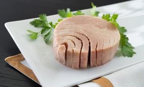 دستور تهیه انواع غذا با تن ماهی خوشمزه و آسان