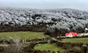 بهشت ایران یا جنگل ویلا؟