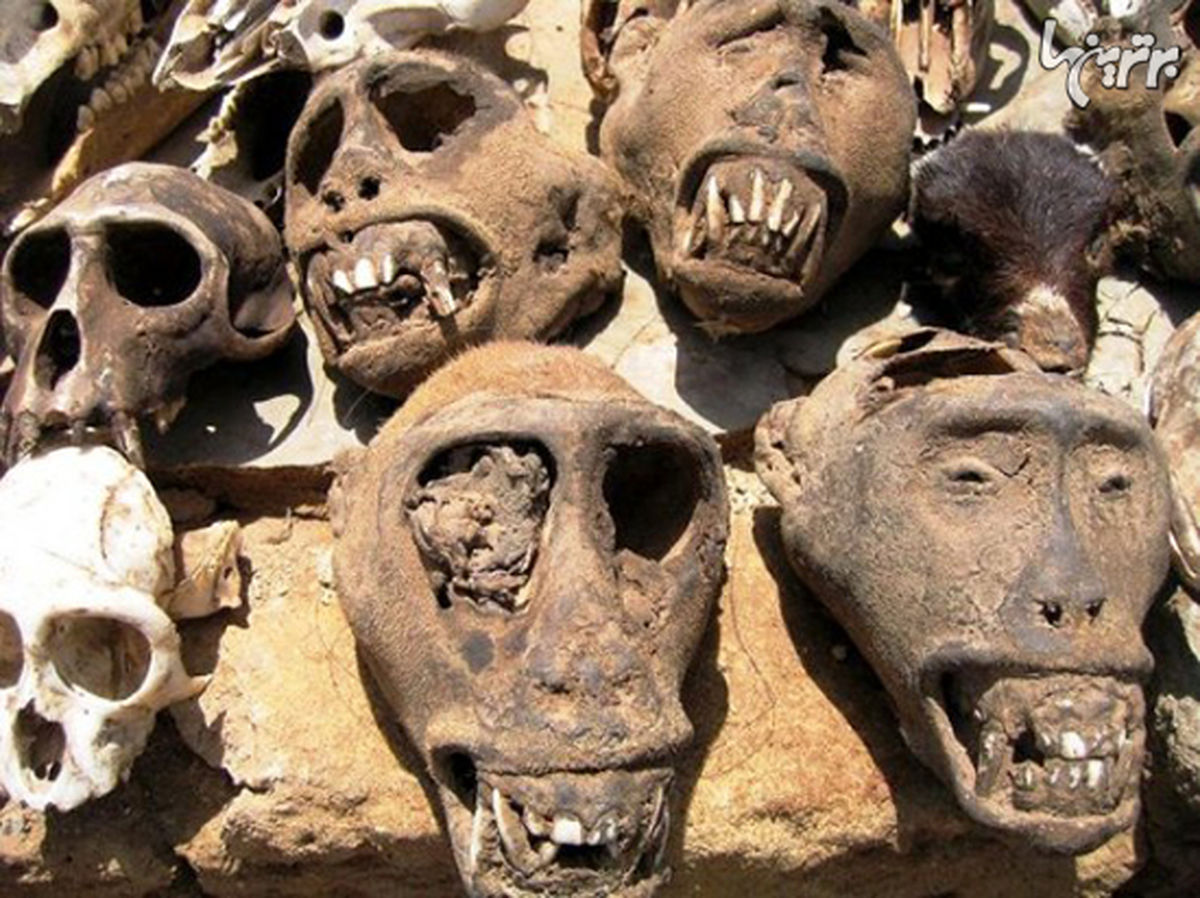 مکان‌های ترسناکی که هرکسی شجاعت بازدید از آن‌ها را ندارد!