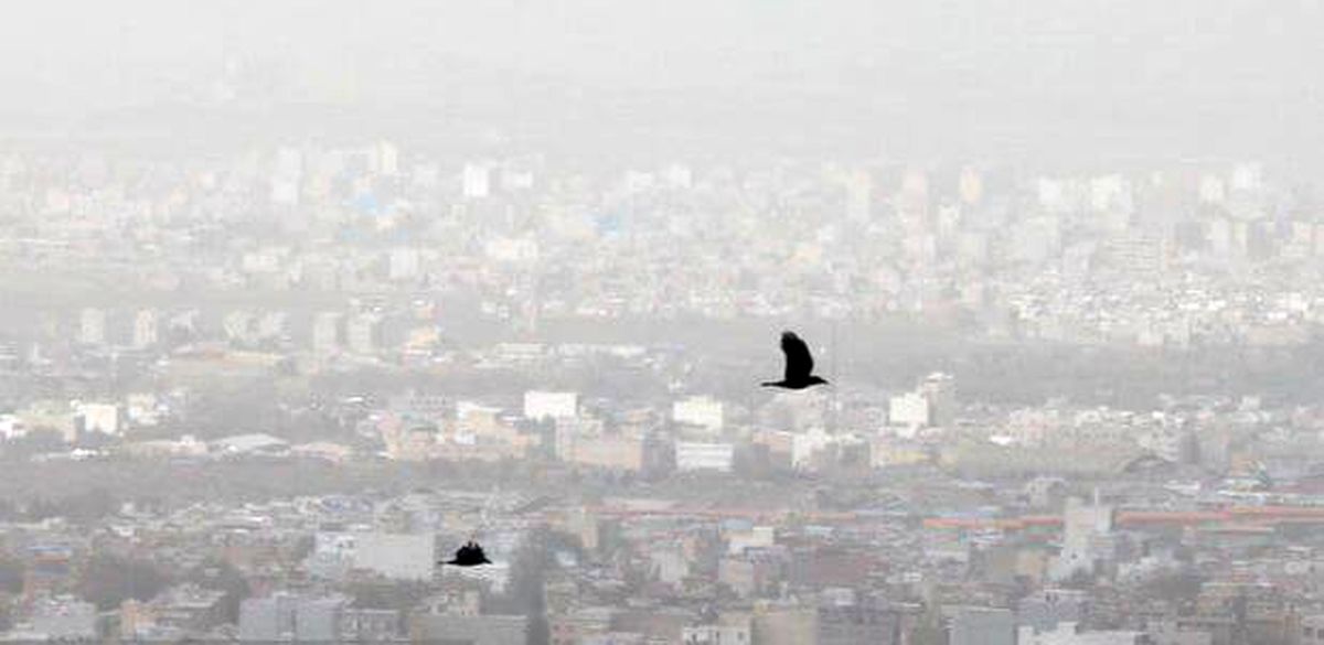 کیفیت هوا در سر پل‌ ذهاب و قصرشیرین اضطراری شد