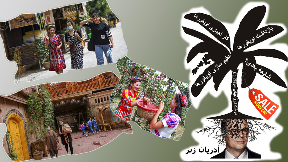 نگاهی به «چین شناس» محبوب غرب و دلیل استناد غربی‌ها به مطالعاتش درباره شین‌ جیانگ