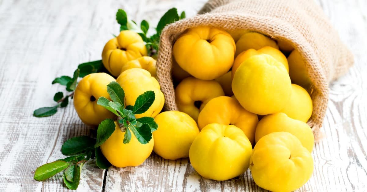 خواص به؛ میوه ای بهشتی