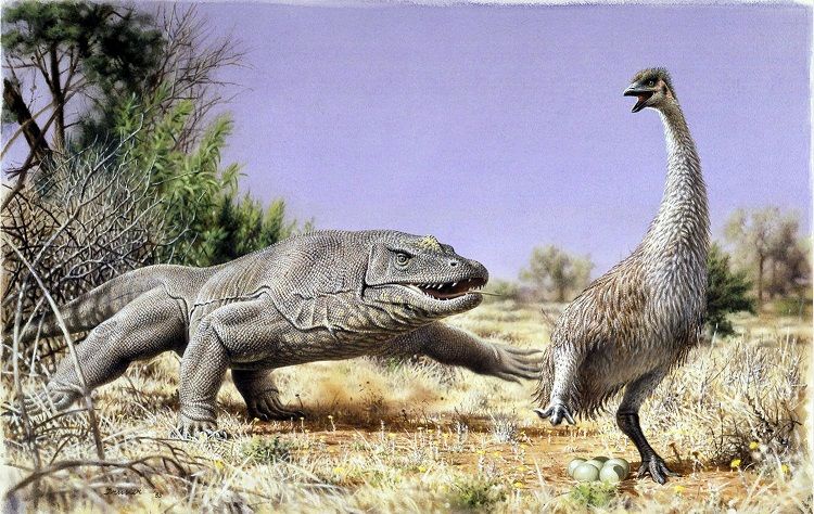 (تصاویر) کشف معمای تخم‌های غول پیکر باستانی پس از ۴۰ سال!