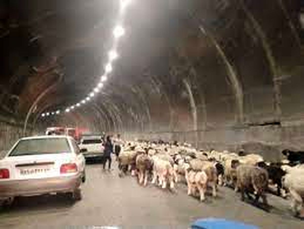 انسداد محور کندوان به دلیل کوچ عشایر