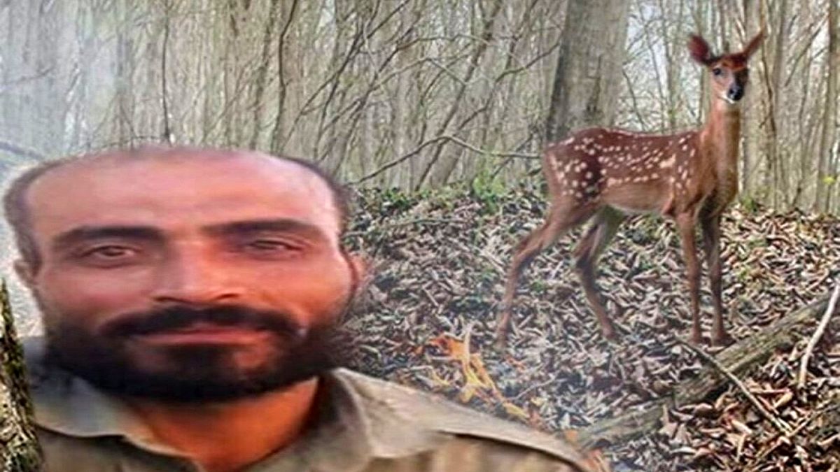 صفر تا صد قتل محیط بان نجفی با شلیک جلوی دادگاه