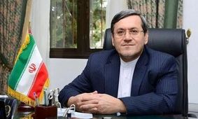 نماینده مجلس: اکثر کسانی که در اعتراضات به شهادت رسیدند، افراد عادی هستند