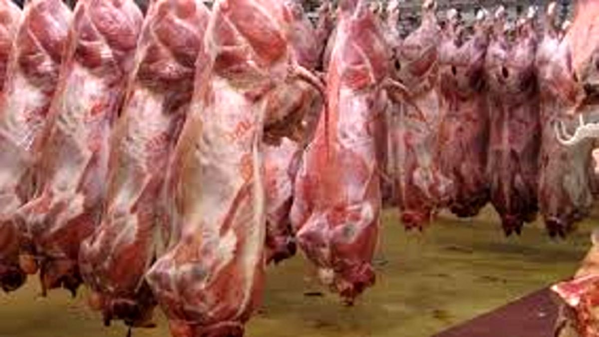 عرضه کنندگان گوشت از مالیات معاف هستند

