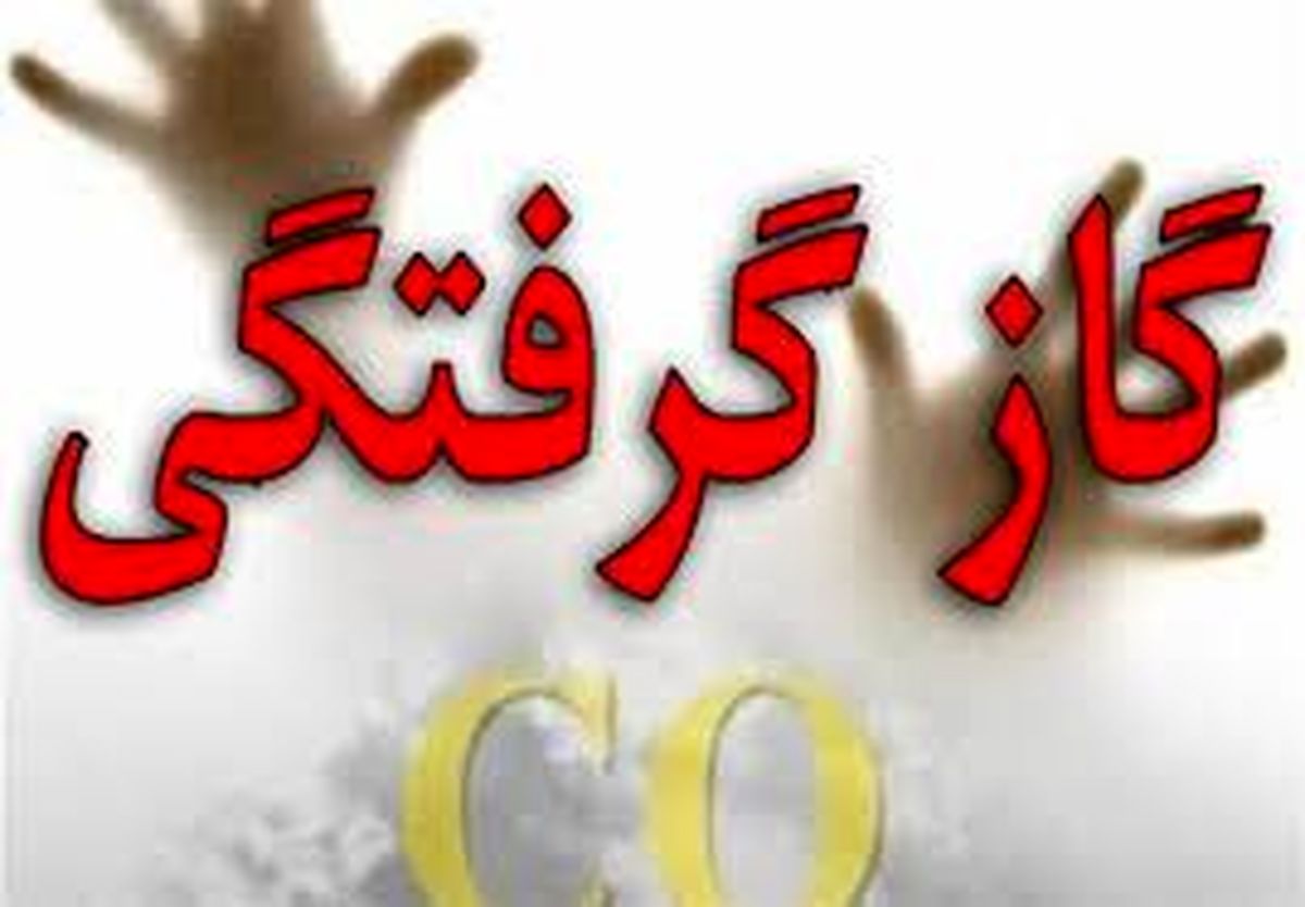 مرگ یک چوپان بر اثر گاز گرفتگی در معدن