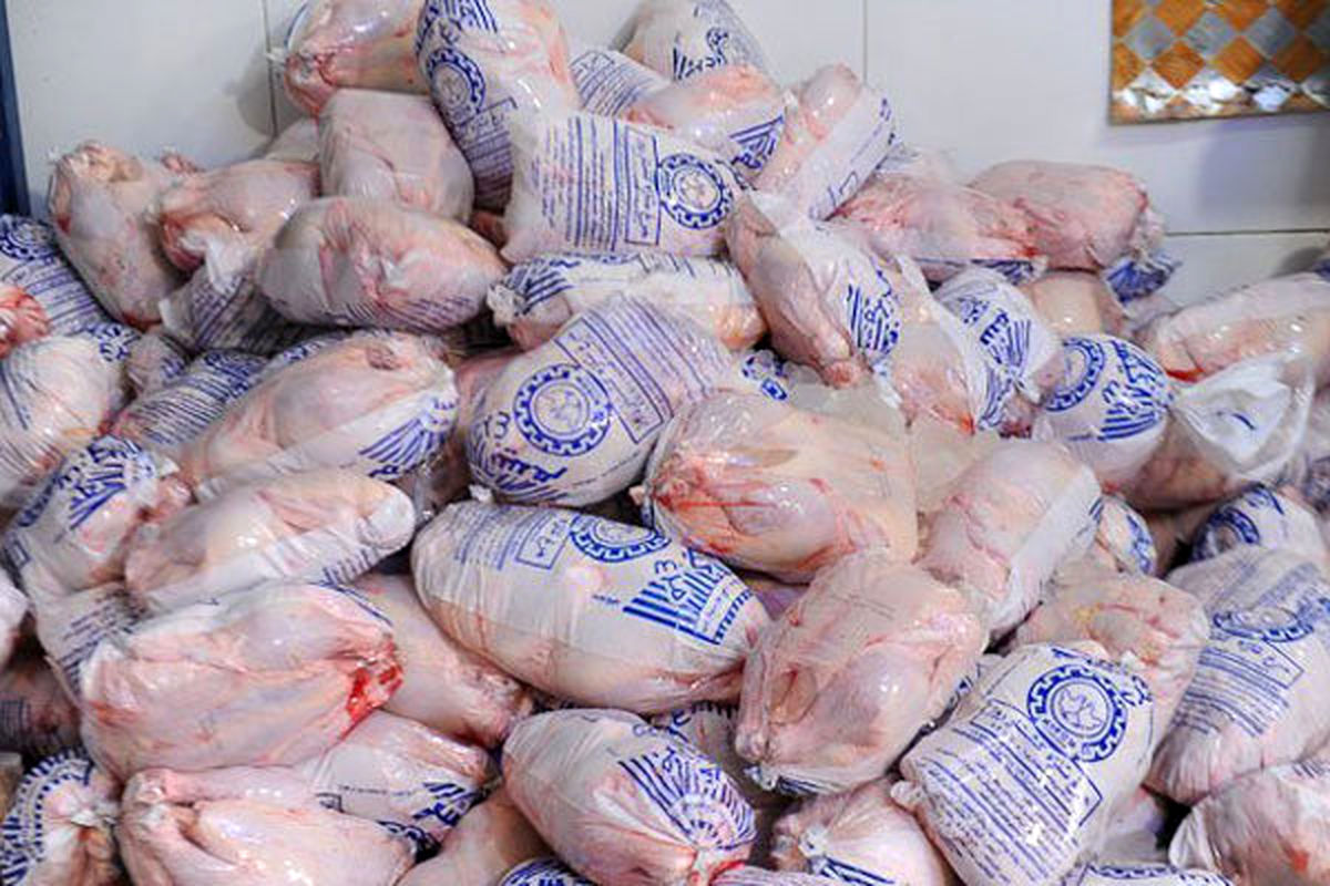 کشف و ضبط ۹۰۰ تُن مرغ منجمد احتکار شده در شیراز