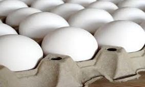یک عدد تخم مرغ چند؟