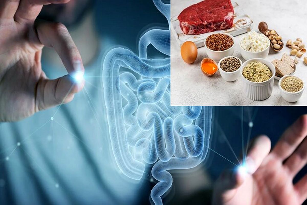 تاثیر شگفت‌آور یک ماده موجود در غذاهای پروتئینی‌ بر ترمیم روده
