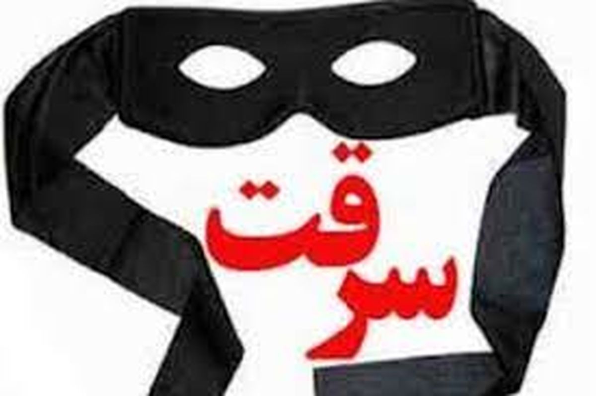 وقتی مردم می بینند پلیس کاری برای مقابله با سارق نمی کند خودشان دست به کار می شوند/دزدها در زندان حرفه ای تر می شوند