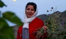 هشدار شاعر و نویسنده افغانستانی تبار ساکن مشهد به ایرانی ها برای عبرت از سرگذشت افغانستان؛ مراقب «خانه‌جنگی» باشید/ ویدئو