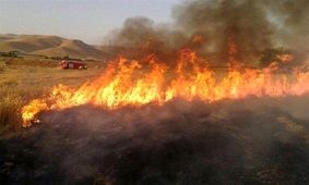 ته سیگار ۴ هکتار از مراتع سمیرم را سوزاند

