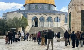 شهرک‌نشینان ۲۸۰ بار به مسجد الاقصی یورش بردند
