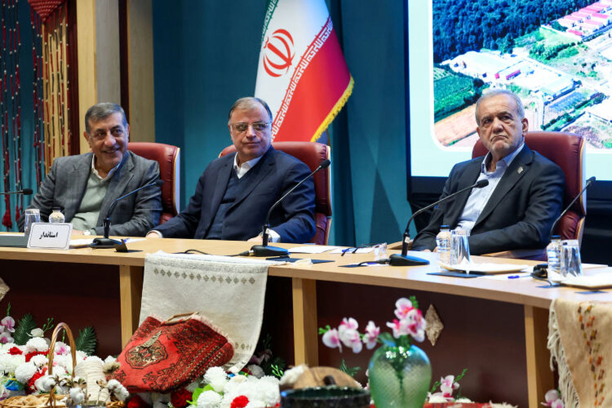 پزشکیان: بدون داشتن انرژی، توسعه بی معنی است/ قوانین و مقررات نباید مانع توسعه شود

