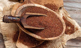 خواص درمانی خاکشیر برای سلامتی