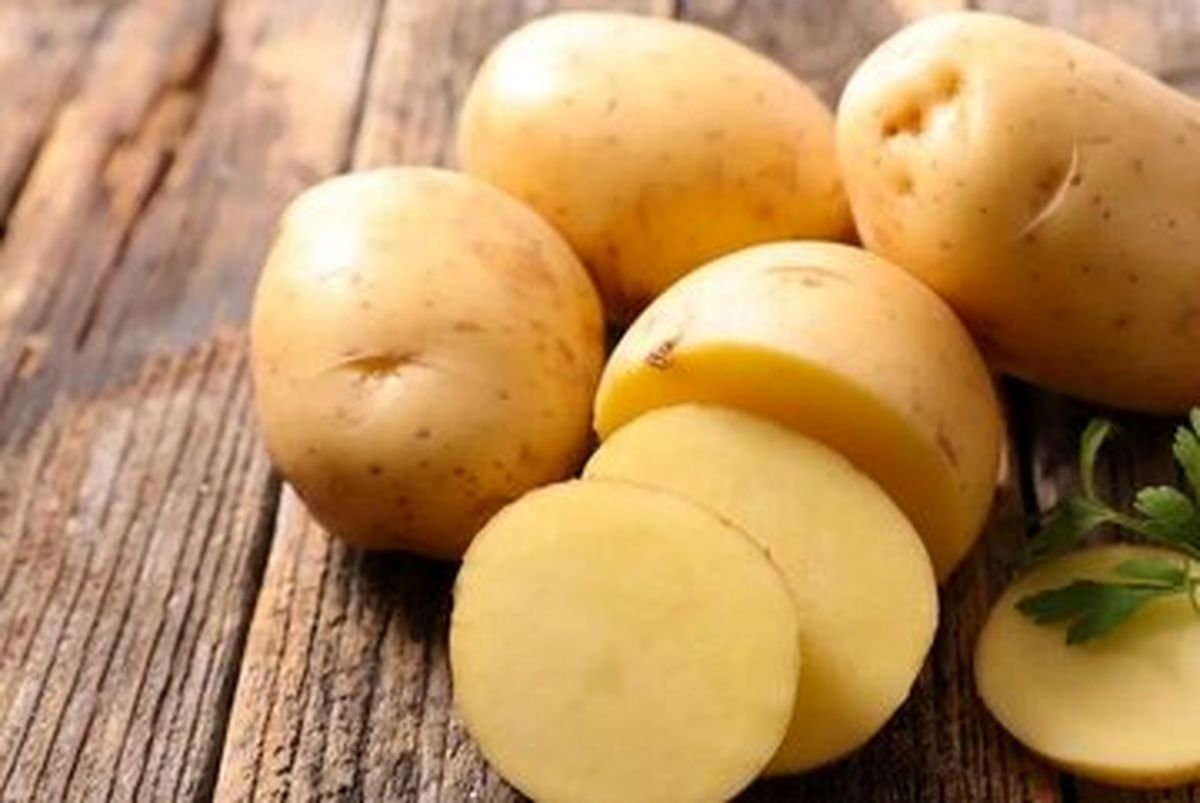 سیب زمینی های سبز و جوانه زده خطرناک هستند؟