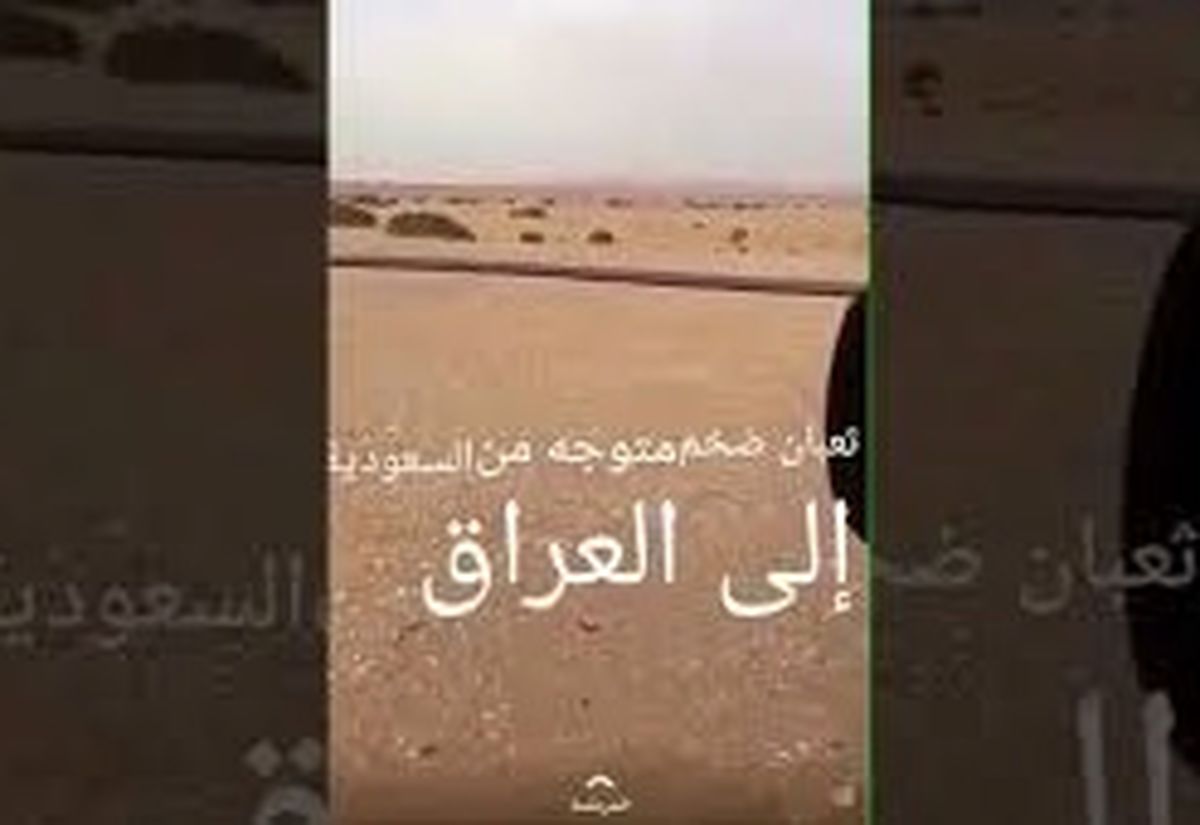 این مار 100 متری ترسناک از صحرای عربستان به سمت عراق در حرکت است/ ویدئو