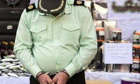 پلیس در تعقیب پلیس نماها