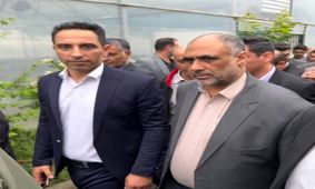 بازدید وزیر جهاد کشاورزی از بزرگترین شهرک گلخانه‌ای شهرستان نور در دارکلا چمستان 
