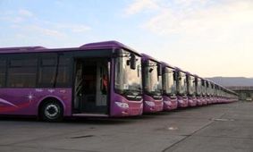 تمام رانندگان بازداشتی آزاد شدند 